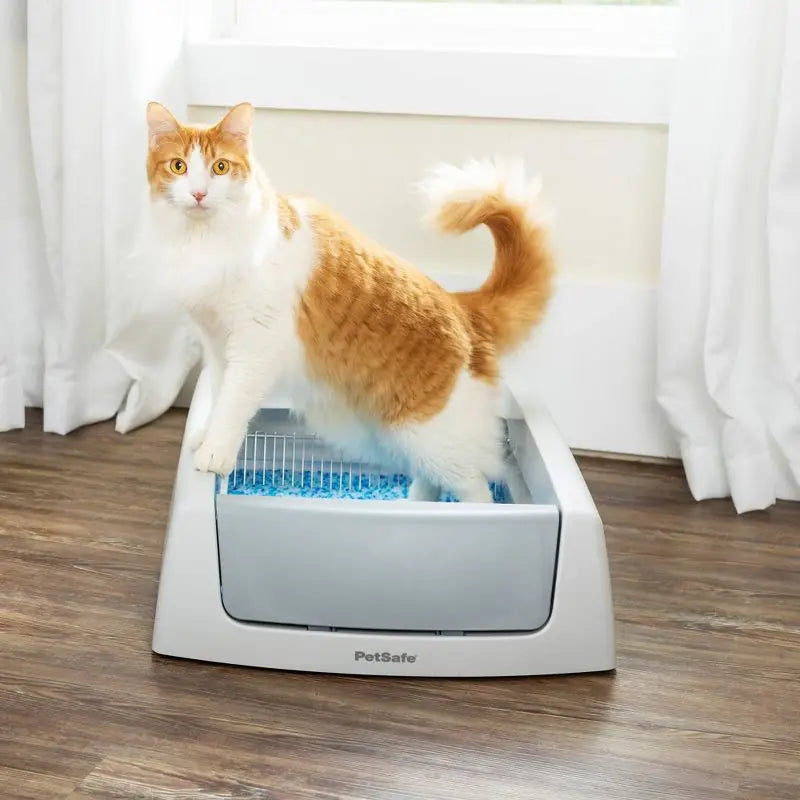 Self Cleaning Cat Litter Box Automatic Odor Control No Scoop Required Crystal Litter Tray Low Tracking Dust Free for Indoor Cats