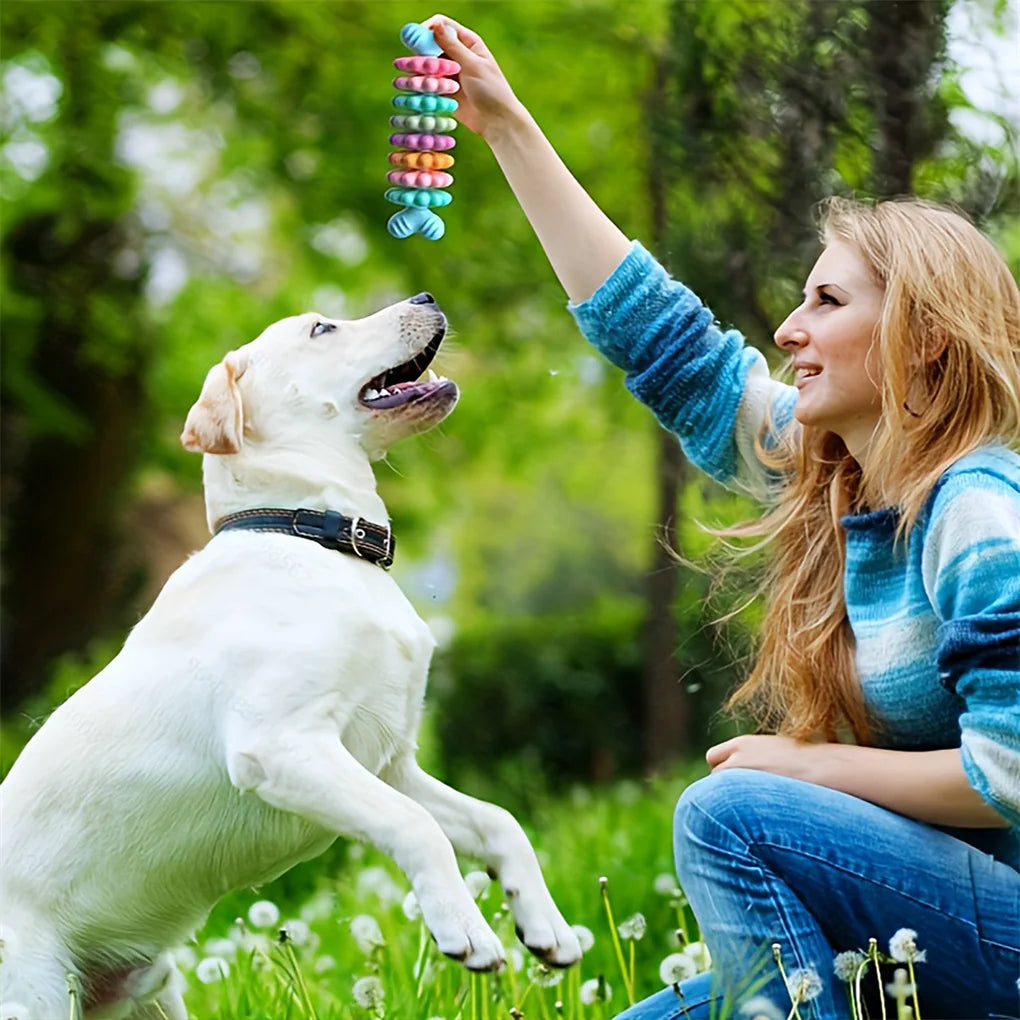 2PCS/SET Pet Toy Dog Chew Bone with Multi-color, Durable, and Teething-resistant Design for Gnawing and Dental Care