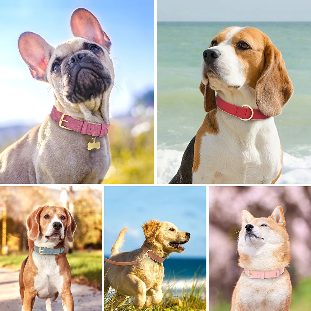 Soft Padded Dog Collar Leash Set PU Leather Pet Dog Collars Necklace With Walking Lead Rope Adjustable For Small Medium Dogs Pug