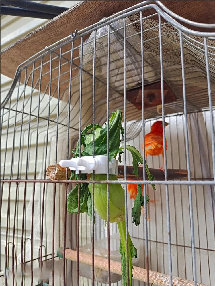 Cute Small Pet Bird Food Holder Parrot Fruits Vegetables Clip Cuttlefish Bone Feeder Device Clamp Bird Cage Accessories Oiseaux
