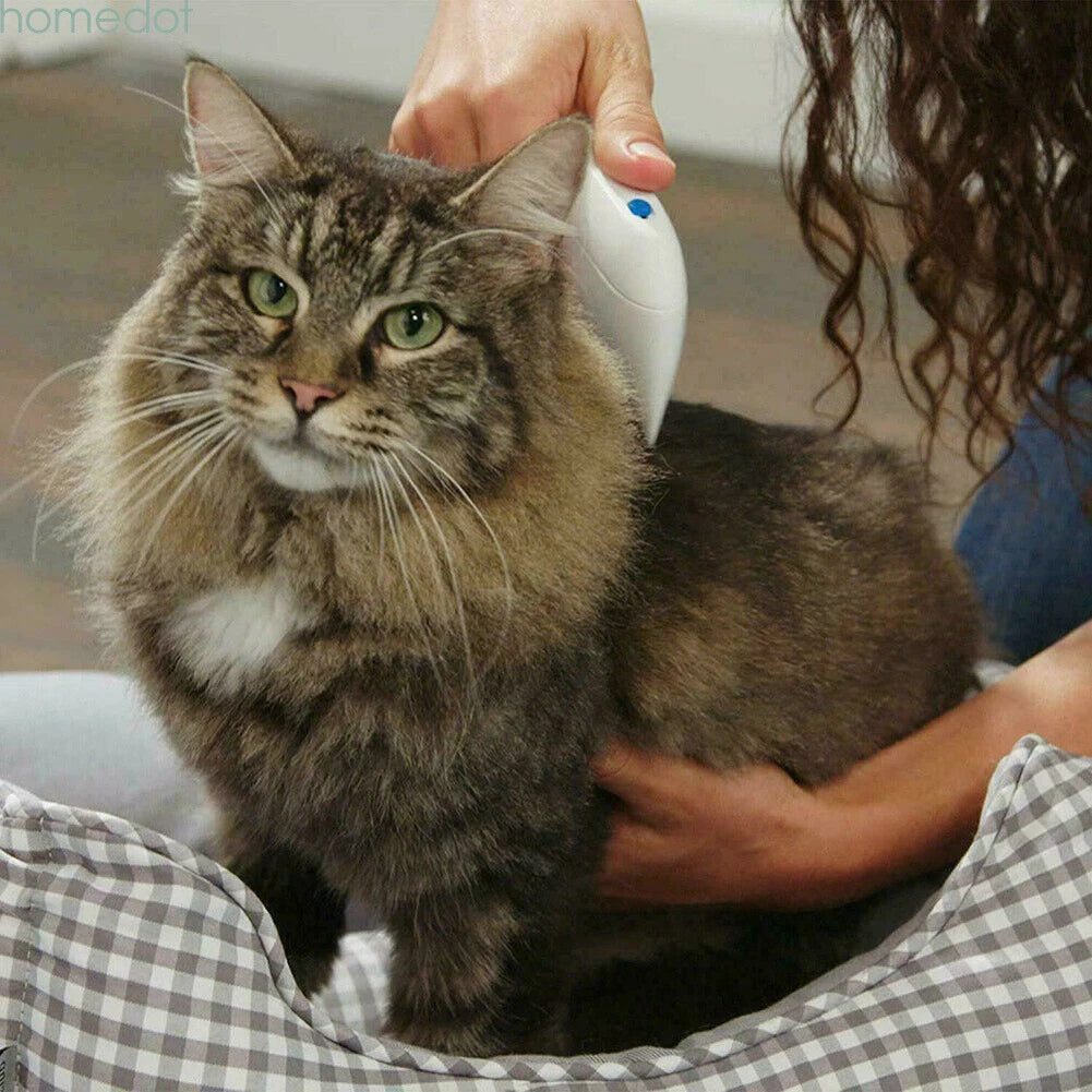Pet Cat Dog Electric Terminator Brush Anti Removal Kill Lice Cleaner Electric Head Pet Fleas Electronic Lice Comb for Dog