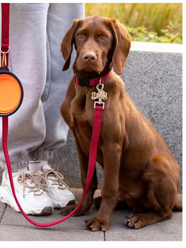 Collapsible Dog Pet Folding Silicone Bowl Outdoor Travel Portable Puppy Food Container Feeder Dish Bowl Pet supplies