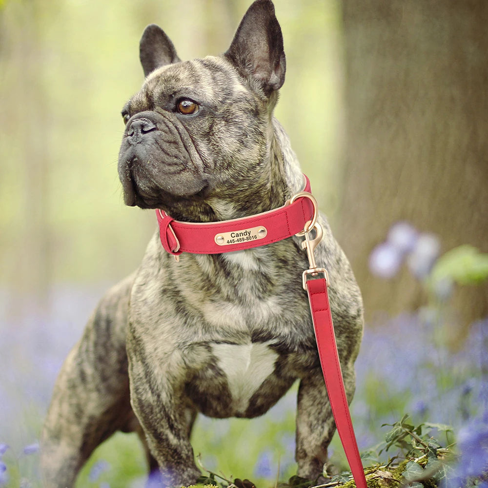 Soft Padded Dog Collar Leash Set PU Leather Pet Dog Collars Necklace With Walking Lead Rope Adjustable For Small Medium Dogs Pug
