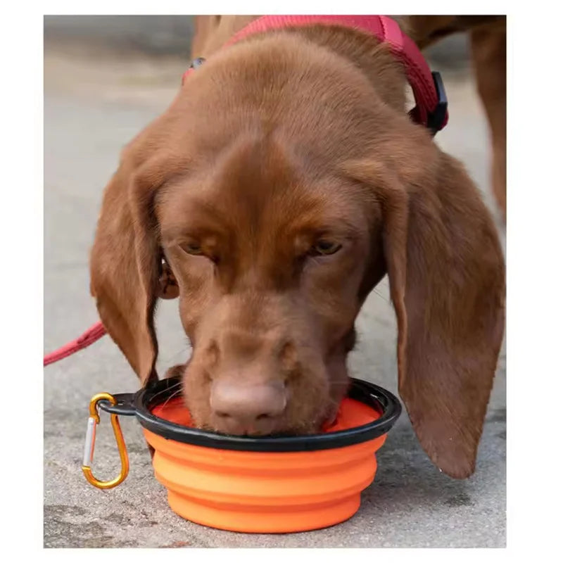 Collapsible Dog Pet Folding Silicone Bowl Outdoor Travel Portable Puppy Food Container Feeder Dish Bowl Pet supplies