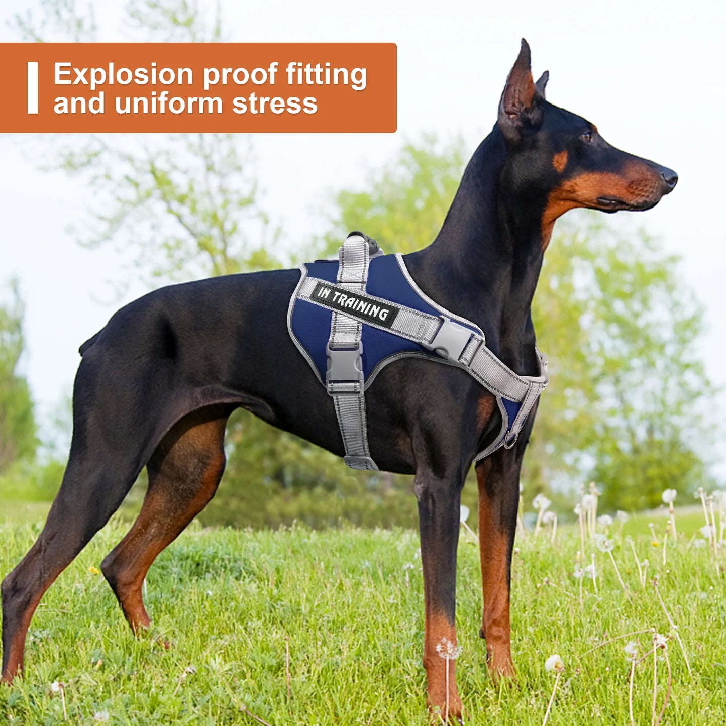 Service Dog Vest Harness No Pull Dog Hook Suitable Large Dog Vest Dog Walking Rope Control Dog Strap Accessories Prevent Loss